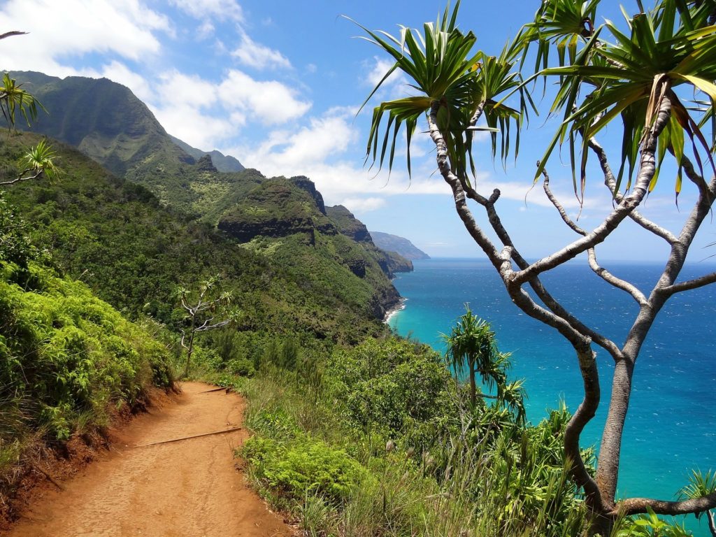 hiking trip in hawaii