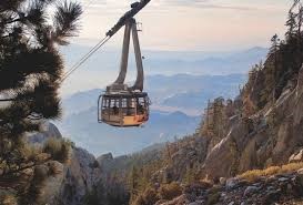 Palm Springs3
