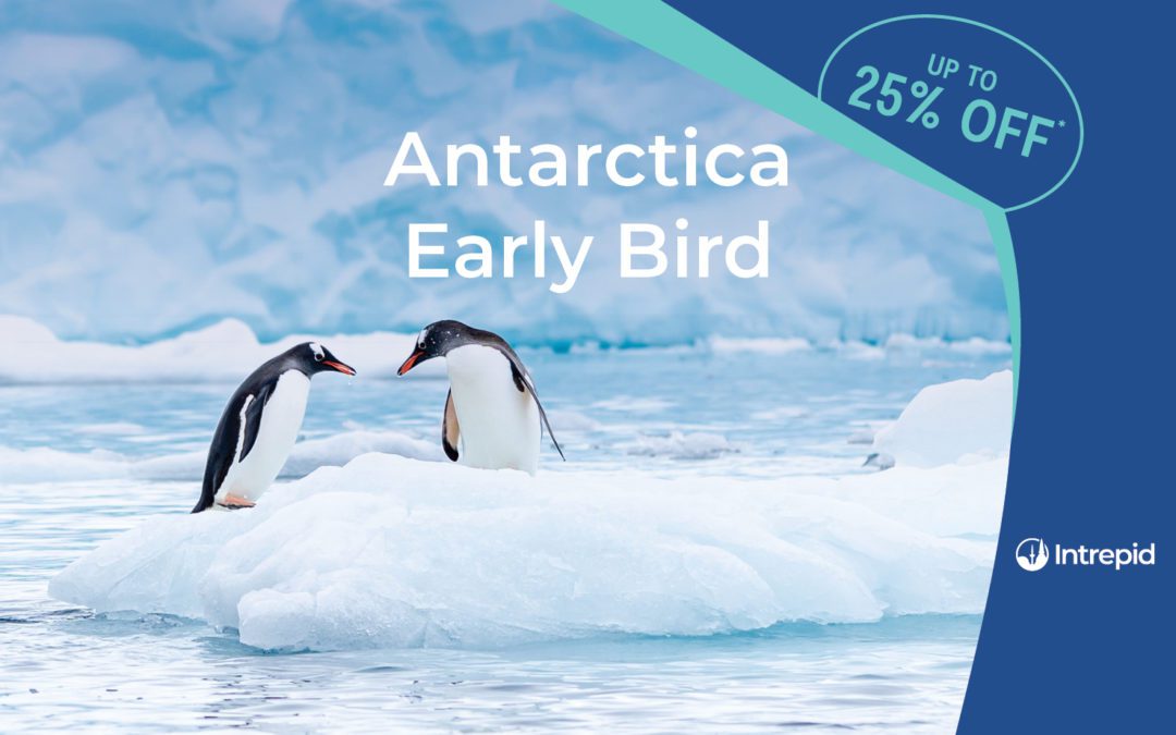 Antarctica 2022 & 2023 Early Bird with Intrepid Travel
