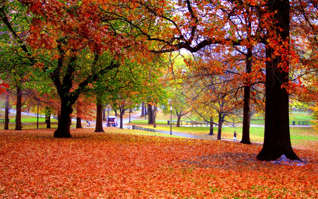 NEW ENGLAND, CANADA & HAWAIʻI PACKAGE