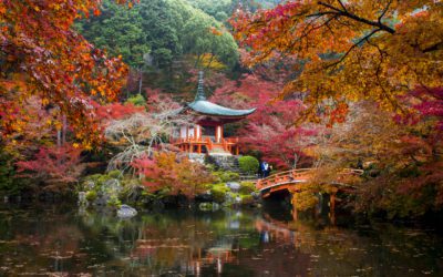 Earlybird savings up to $1000 per person on selected tours with Wendy Wu