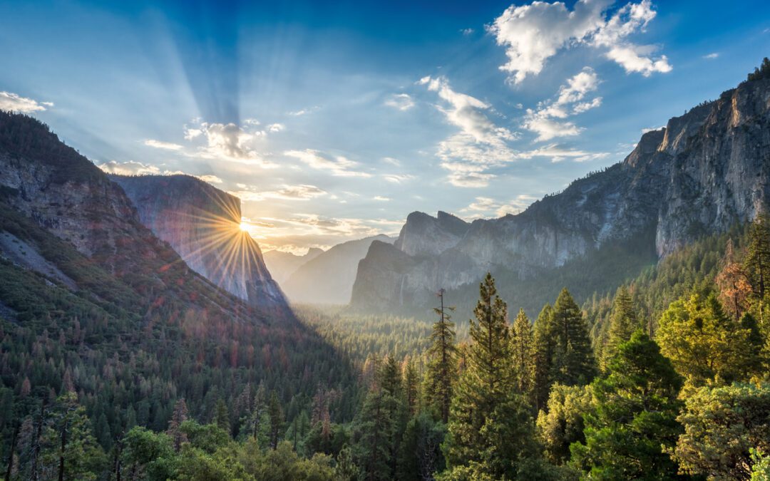 Hiking in Yosemite with Intrepid 6 Days from $3540