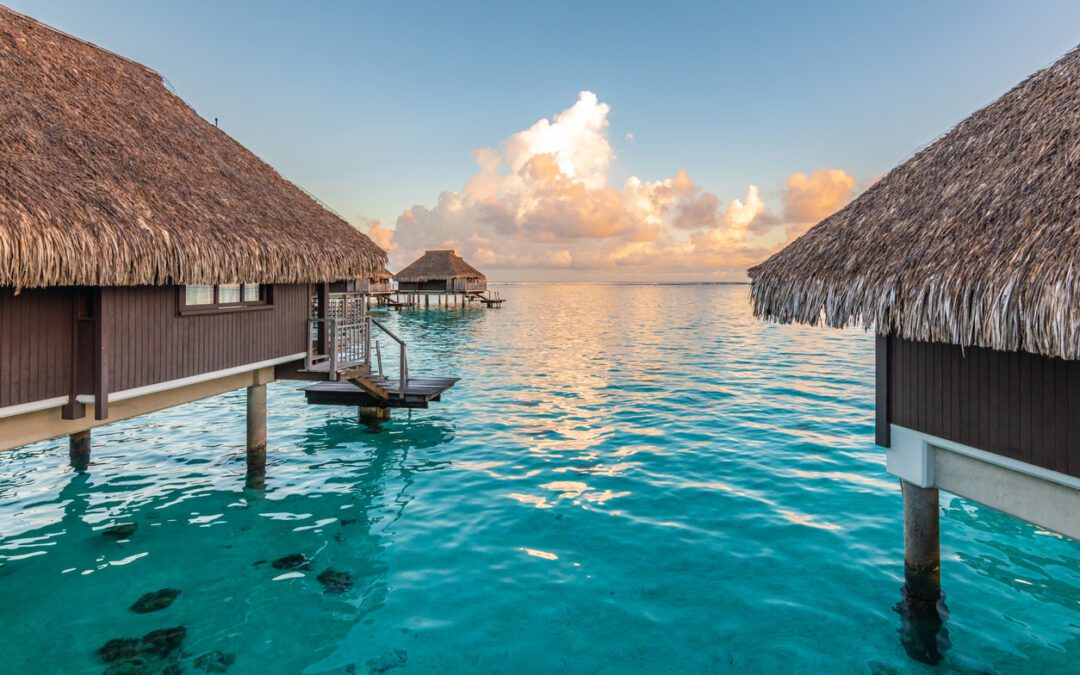 Tahiti Deals on now for 2023 & 2024!