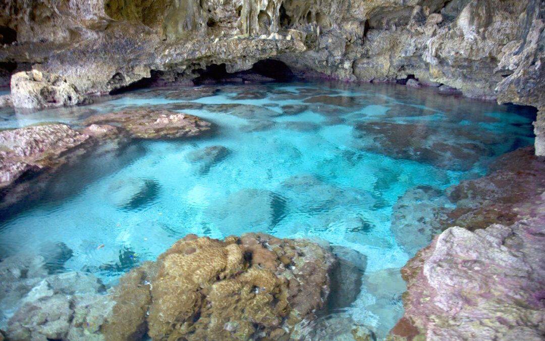Niue Holiday Deal 2023-2024!