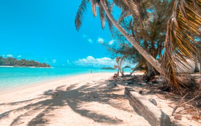 2024 Cook Island Packages!