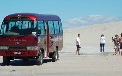 Nelson and Farewell Spit From $4,950 per person