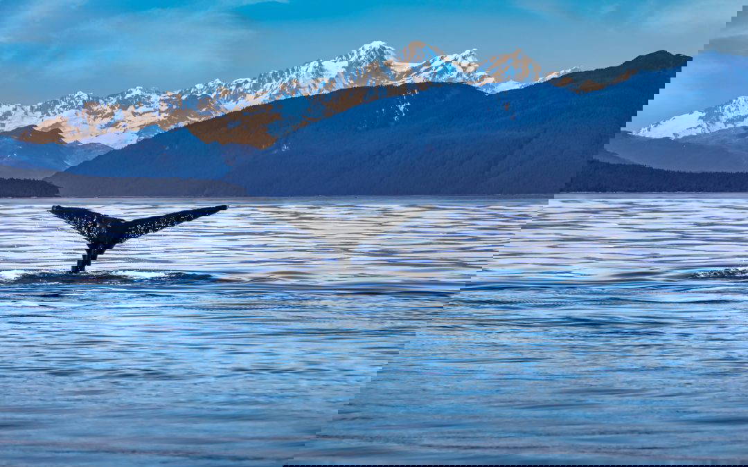 Vancouver, Alaska & Waikiki 13 Night Fly, Stay & Cruise Package from $5799