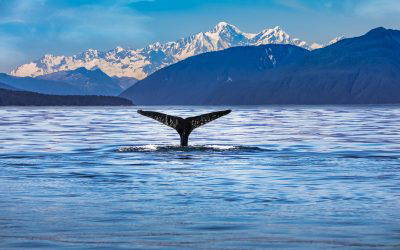 Vancouver, Alaska & Waikiki 13 Night Fly, Stay & Cruise Package from $5799