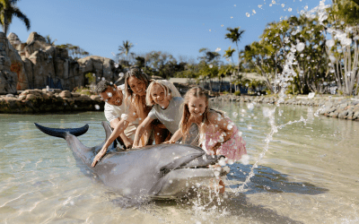 Sea World Resort with Luxury Escapes